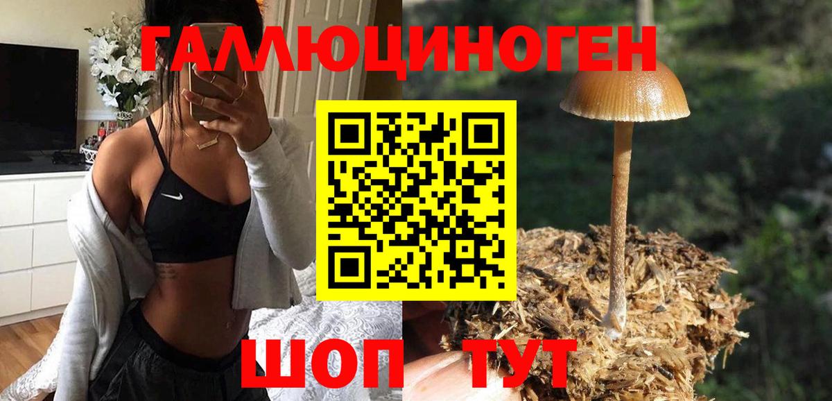 Галлюциногенные грибы ЛСД Карабулак